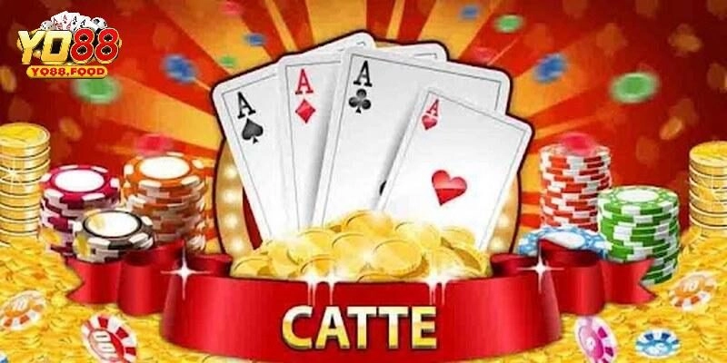 Tìm hiểu về bài catte Yo88