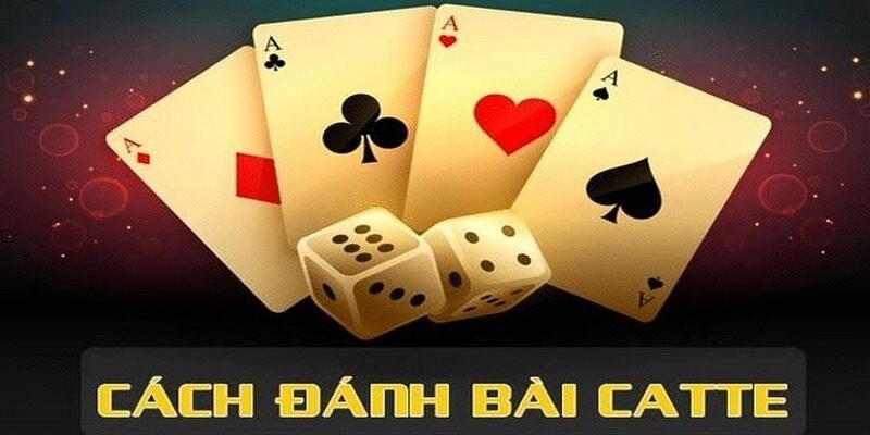 Cách chơi bài Catte dành cho người mới gia nhập