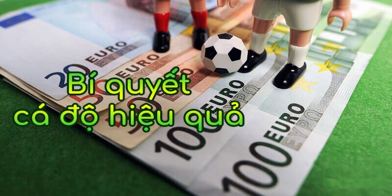 Dựa vào lịch sử thi đấu và bảng xếp hạng
